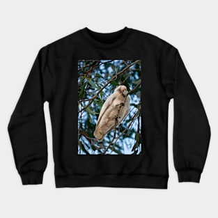 Corella 1 Crewneck Sweatshirt